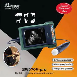 Portable Veterinary Ultrasound Scanner, Vet Ultrasound System, Ultrasound Scan Machine for Farm Animals and Pet, Low Price, Outdoor Use