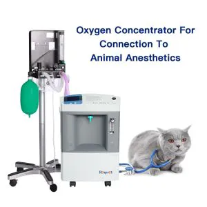 Hot Sale 10L High Quality Portable Oxygen Concentrator Generator Animal Use