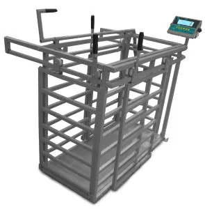 Hotsale Pig Goat Sheep Weighing Scale Load Cell Scale 1.5 Ton with Sumbox Kits