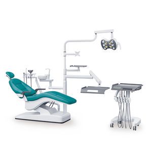 Partes De Una Unidad Dental