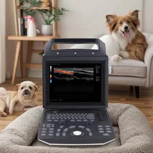 Medical Device Portable Animal Hospital Clinic Ultrasound Scanner Color Doppler Ultrasound Machine