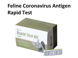 Diagnostic Rapid Test for Feline Fco Virus AG Veterinary