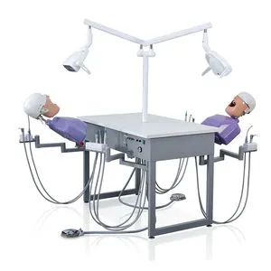 Sjd-OA4 China Dental Equipment Phantom Manual Simulation Dental Simulator for 2 Students