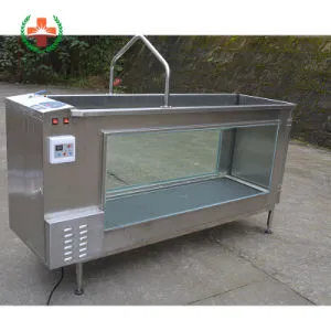 Sy-W051 Good Quality Professional Pet Running Training Underwater Treadmill