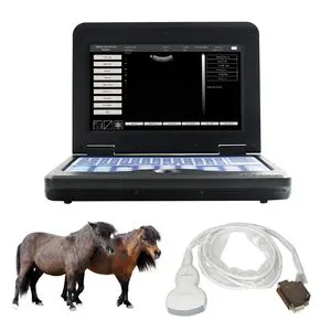 Contec Cms600p2 Vet Veterinary Instrument Portable Ultrasound Cheap Vet Ultrasound Machine