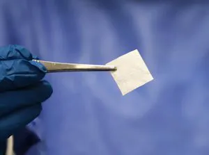 2022 New Premium Dental Implant Collagen Membrane for Innovative Dental Implants