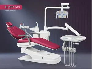 Professional Basic Dental Chair with Integrated Lighting and Accessories