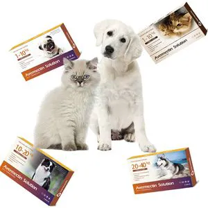 Abamectin Transdermal Pet Deworming Solution Flea Tick Removal for Cats and Dogs