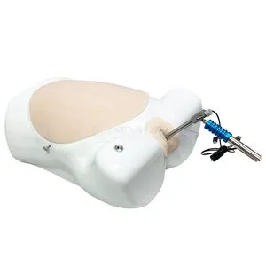 Sy-Pn355 HD 30 Degree Simulated Hysteroscopy Pregnant Uterus Gynecological Laparoscopic Hysteroscopic Training Simulator