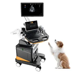 in-T6vet Portable Ultrasound Machine Veterinary Medical Device Ultrasound Machine