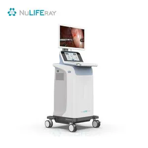 Reliable Electroporation System for Optimal Cell Membrane Permeability