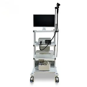 Veterinary Endoscopy Kit From Guangdong with 1 Year Warranty Offered