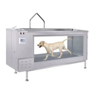 Pet Hydrotherapy Treadmill Dog Underwater Treadmill
