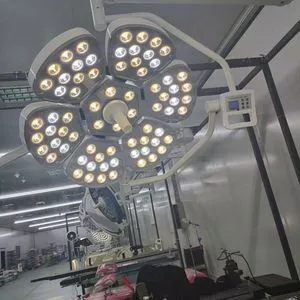 Factory Directly Outlet Wall-Mounted Installation Surgical Diode Surgical Lamp Electric Version LED Operating Room Shadowless Lamp