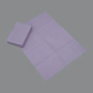 Japan Market Dental Bib with High Quality