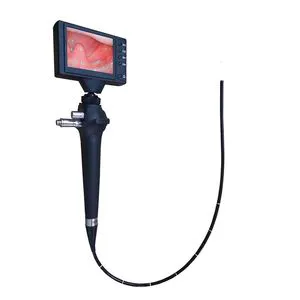 My-W029W Flexible Video Nasopharyngoscope Bronchoscope Portable Veterinary Video Endoscope for Hospital Use