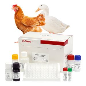 Avian Influenza Aiv Antibody Elisa Test Kit for Poultry Disease Diagnosis Test