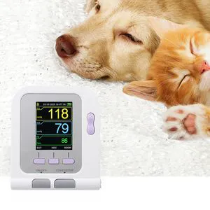 Vet Animal Digital Blood Pressure Monitor for Veterinary Clinic