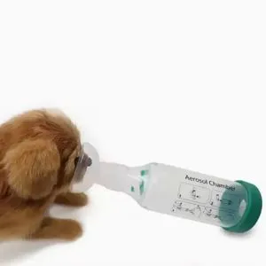 New Pet Cat Feline Aerosol Chamber Nebulizer Administerer Dosing Tank Plastic with 3PCS Silicone Mask