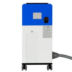 Enzyme-Based Solutions for Dental Pipeline Cross-Contamination Prevention