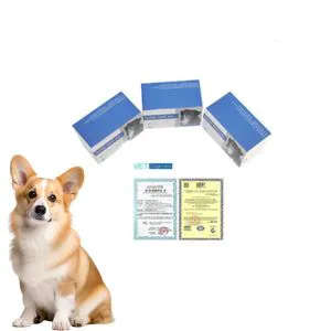 Canivet Rabies Ab Test Rabies Vaccine for Dogs Anti Rabies Vaccine
