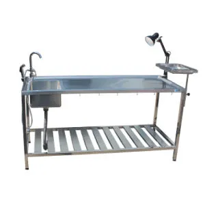Stainless Steel Animal Dissection Table Pet Surgery Veterinary Equipment