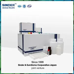 Real-Time Medical Equipment PCR Detection Kit for African Swine Fever