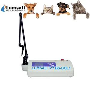 Veterinary Surgical Machine CO2 Laser Machine BS-Col1 for Animal Surgery