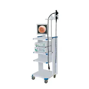 Lteg26 Endoscope System Fiber Video Gastroscope with Light Source