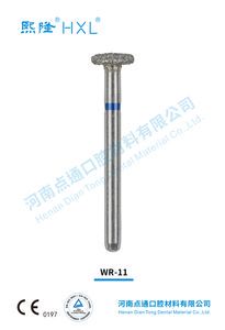 Fg High Quality Diamond Dental Burs for Dentist Dental Material Polishing Instruments Wr-11/067-042m/909-042m