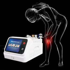 New Arrival Vascular Removal Skin Rejuvenation Nails Fungus Removal Physiotherapy Laser 980 Laser Machine