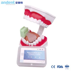 China High Quality Dental Mouth Prop Opener with Tongue Guard Set