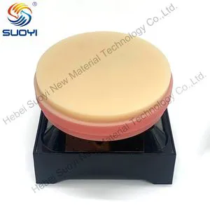 Dental Laboratory-Grade PMMA