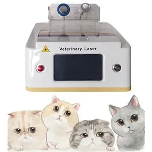 980nm High Intensity Pet Laser Therapy Red Light Therapy for Pets Veterinary Laser Machine for Animal Hospital