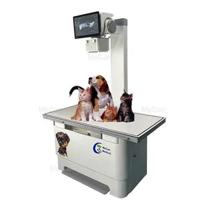 Medical Veterinary Supplies Digital Radiography Stationary Dr X-ray Imaging Veterinarian Fixed Equipment X Ray Machine