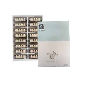 Feiying Dental Upper Lower Anterior Denture Two Layer Acrylic Resin Teeth