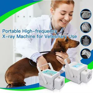5kw Digital Veterinary X Ray Machine for Big Dogs