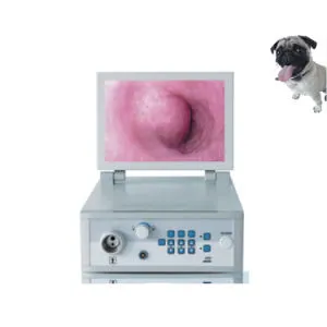 My-W025A Medical Veterinary Instrument Vet Endoscopy System Video Endoscope for Animals