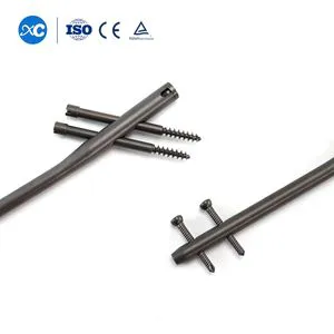 High Quality Titanium Femoral Fractures Orthopedic Implants Gamma Intramedullary Nail