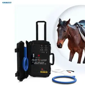 Horse Health Care Physiotherapy Machine Pmst Loop Pemf Loop for Pain Relief and Bones Repair Magneto Machine
