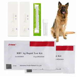 Fast Accurate Rabies Virus Rbv Rapid Test for Dogs Diagnosis Test