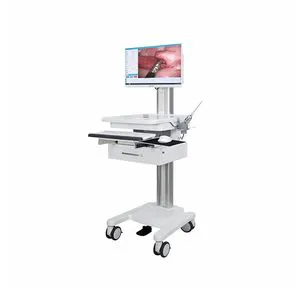 Medical Endoscope Gastroscope Colonoscope Bronchoscope Endoscopic Camera System