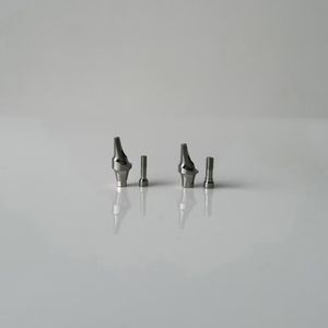 Versatile Multi-Size Customized Abutment for Various Implant Systems with Consistent Performance