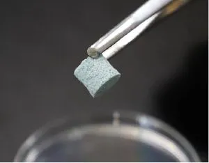 2024 New Productsis Sis Active Collagen Bone Filling Material