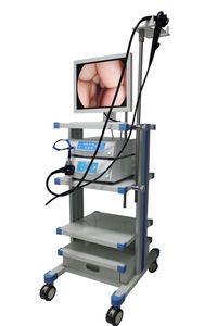 Medical Inspection Veterinary Equipment Endoscopie Systè Me Ent Endoscope Endoscopy Camera with Factory Price