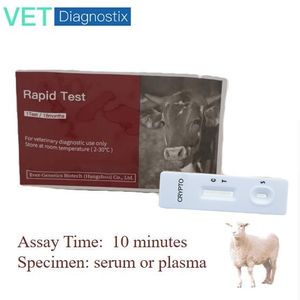 Ovine Cryptosporidium Antigen Test Kit (Crypto AG)
