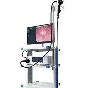 Hot Sale Reusable Gastrointestinal Endoscopy Veterinary Monitor Endoscopic Camera System Pet Endoscope