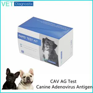 Cav AG Rapid Diagnostic Test Canine Adenovirus Antigen Rapid Test