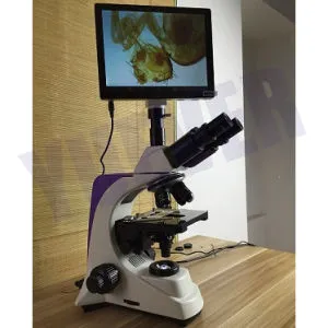 Zoom 40 - 2500X Professional Biological Lab High-Quality Bm-500t Biological Digital Microscope