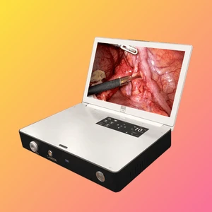 2K Full HD Laptop Endoscopic Camera System with Built-in Recorder and USB Storage